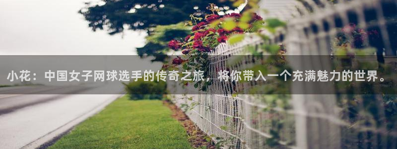 极速体育App：小花：中国女子网球选手的传奇之旅，将你带入一个充满魅力的世界。
