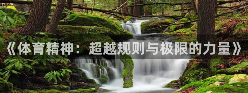 q极速体育：《体育精神：超越规则与极限的力量》