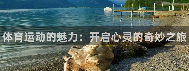 极速体育免费：体育运动的魅力：开启心灵的奇妙之旅