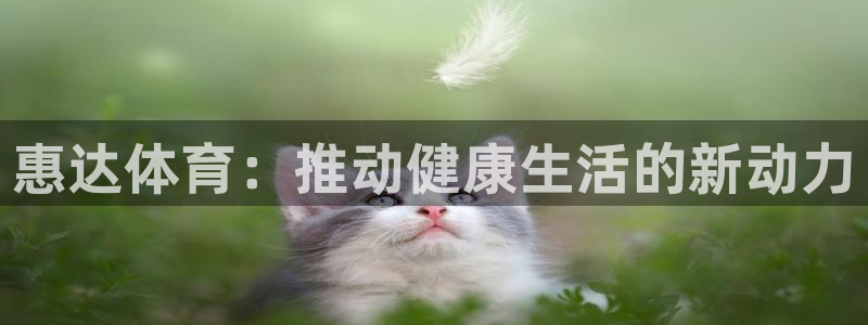 q极速体育：惠达体育：推动健康生活的新动力