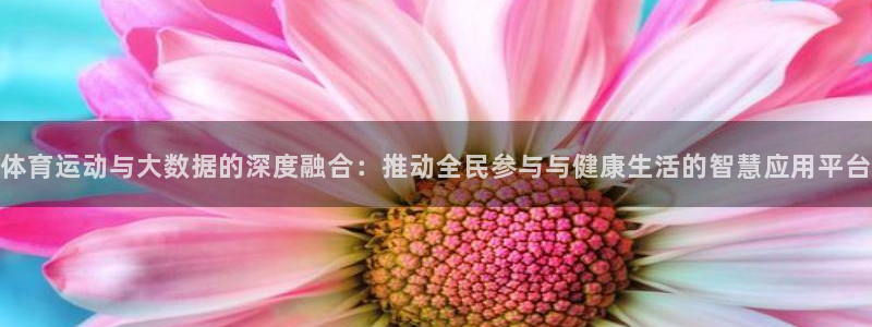 极速体育录像：体育运动与大数据的深度融合：推动全民参与与健康生活的智慧应用平台