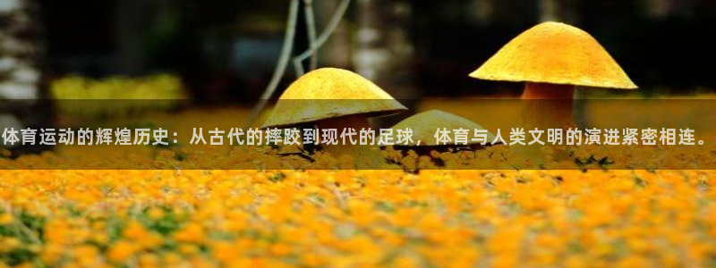 NBA直播吧极速体育：体育运动的辉煌历史：从古代的摔跤到现代的足球，体育与人类文明的演进紧密相连。