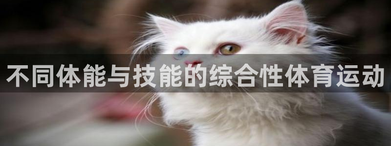 极速体育平台：不同体能与技能的综合性体育运动
